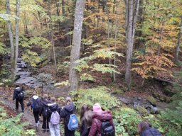 56409469012823986270214168980669585453297870n